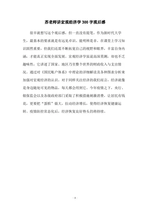 苏老师讲宏观经济学300字观后感