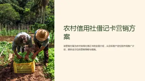 农村信用社借记卡营销方案