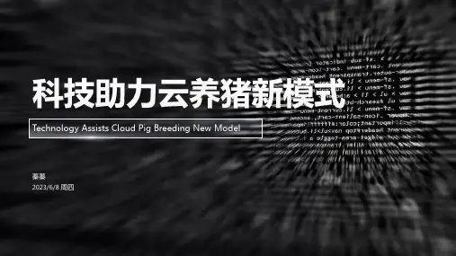 互联网云养猪商业计划书《科技助力云养猪新模式》