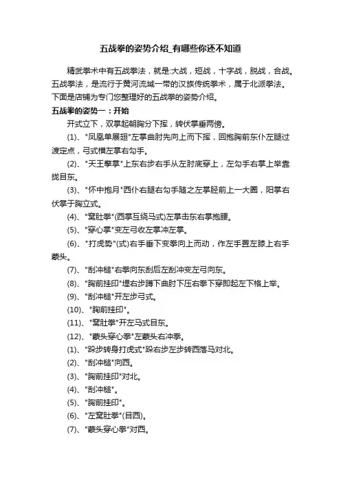 五战拳的姿势介绍_有哪些你还不知道