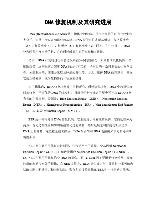 DNA修复机制及其研究进展