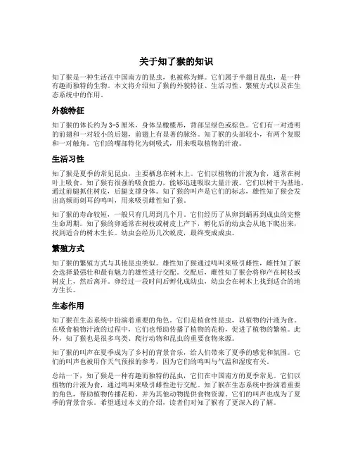 关于知了猴的知识
