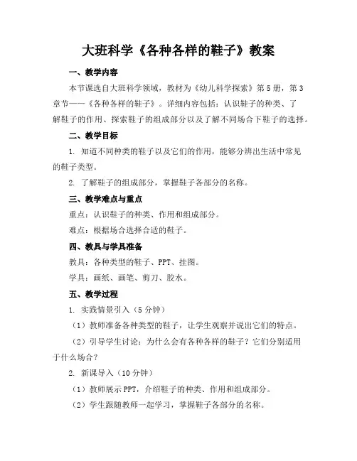大班科学《各种各样的鞋子》教案