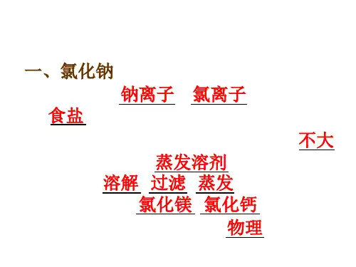 九年级化学生活中常见的盐2(2)(教学课件201909)