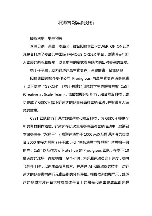 阳狮官网案例分析