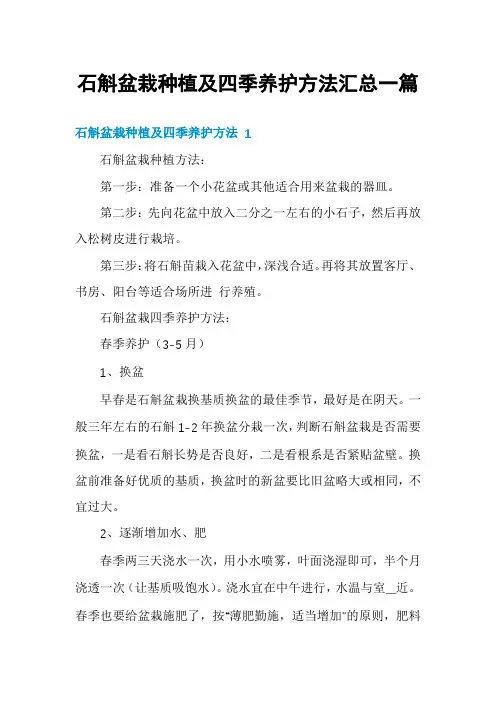 石斛盆栽种植及四季养护方法汇总一篇