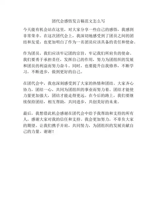 团代会感悟发言稿范文怎么写