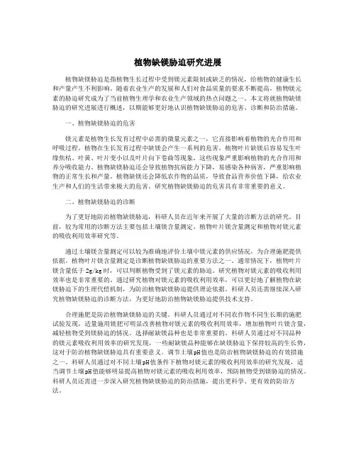 植物缺镁胁迫研究进展