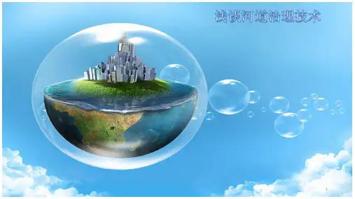 河道处理ppt课件