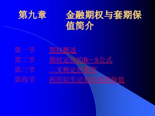 金融期权与套期保值简介(ppt 32页)