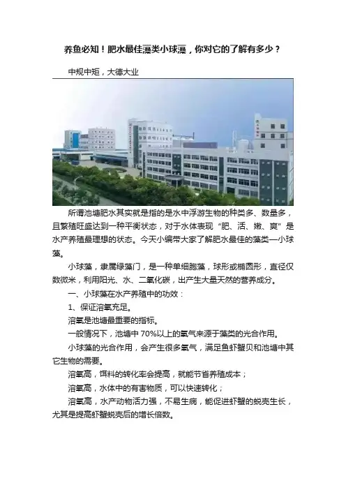养鱼必知！肥水最佳藻类小球藻，你对它的了解有多少？