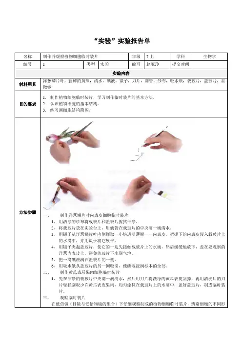 制作并观察植物细胞临时装片实验报告何武