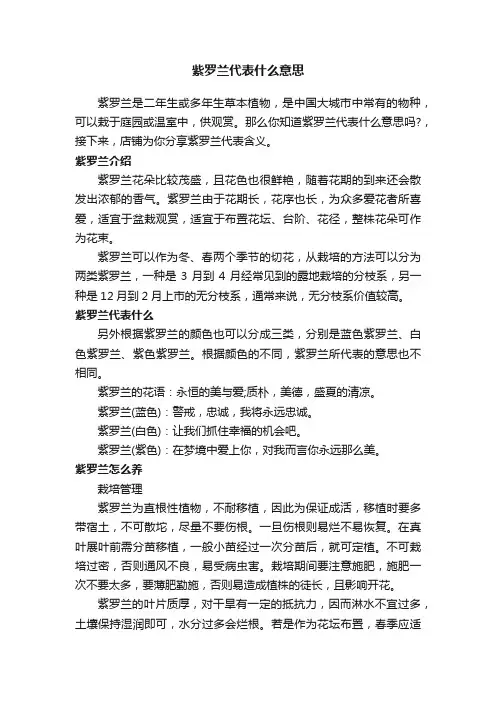 紫罗兰代表什么意思