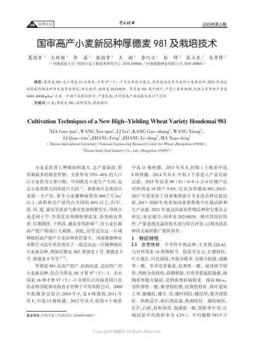 211219943_国审高产小麦新品种厚德麦981及栽培技术