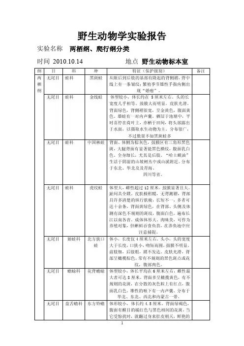 野生动物学实验报告（两栖纲、爬行纲分类）
