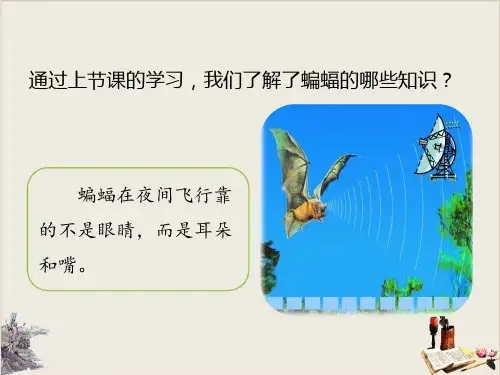 蝙蝠和雷达课件完美版ppt.pptx