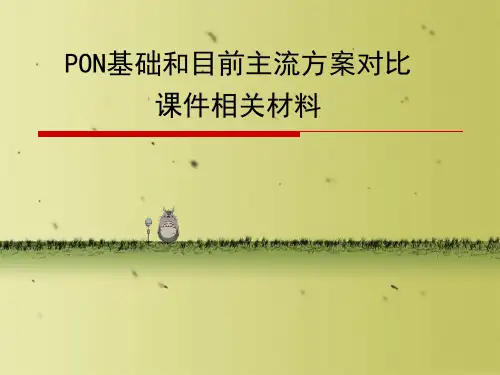 PON基础和目前主流方案对比课件相关材料