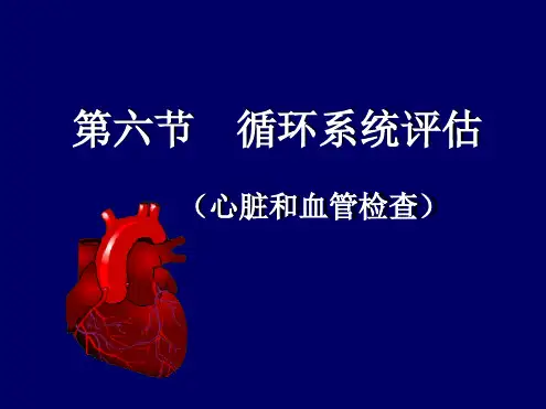 循环系统评估总结