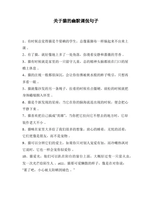 关于猫的幽默调侃句子
