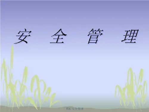 安全管理煤矿共44张幻灯片