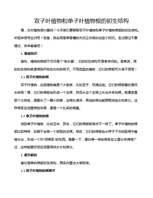 双子叶植物和单子叶植物根的初生结构