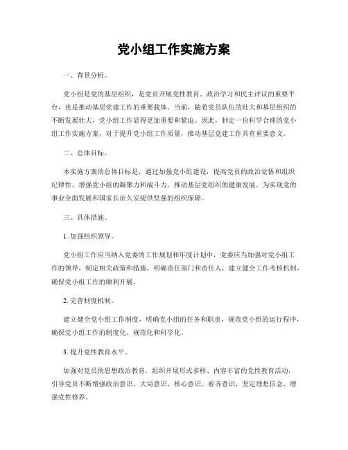 党小组工作实施方案