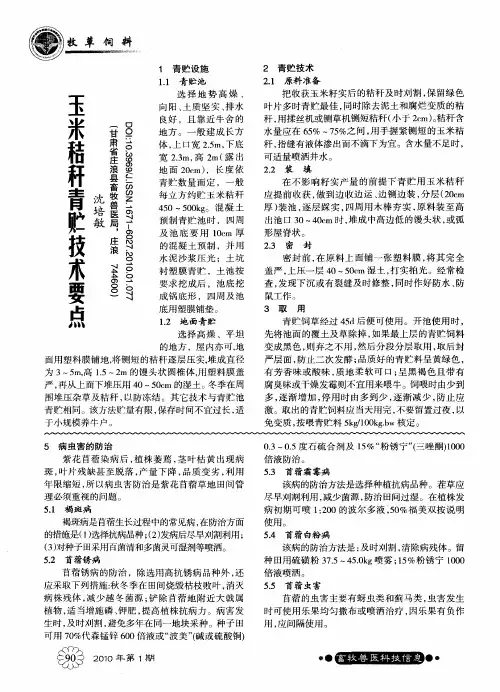 玉米秸秆青贮技术要点