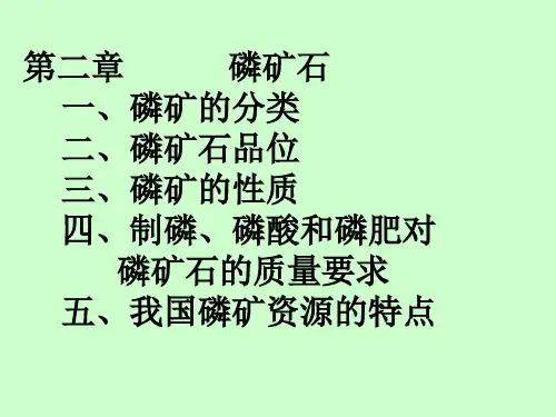 磷矿石汇总课件