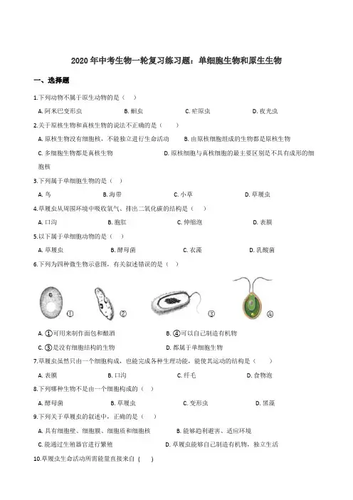 2020年中考生物一轮复习练习题：单细胞生物和原生生物