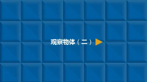 《观察物体》ppt—人教版小学数学观察物体完美课件9
