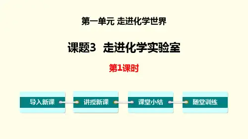 《走进化学实验室》走进化学世界PPT(第1课时)