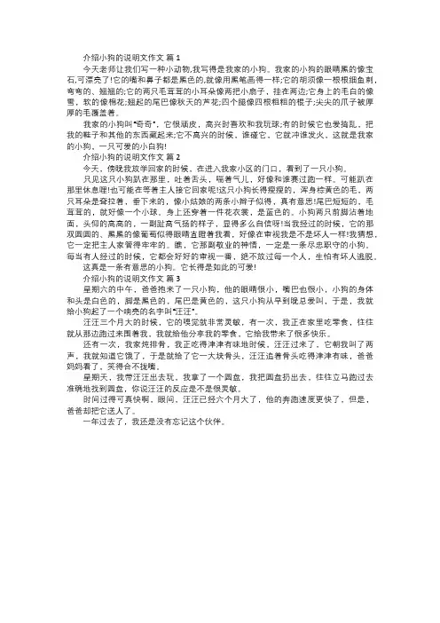 介绍小狗的说明文作文