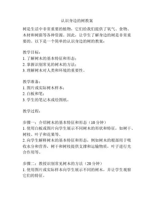 认识身边的树教案