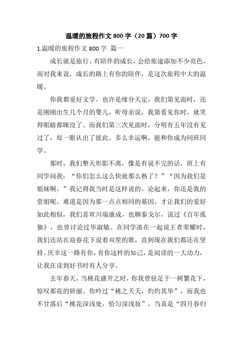 温暖的旅程作文800字(20篇)700字