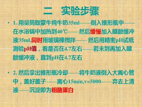 实验4酪蛋白的制