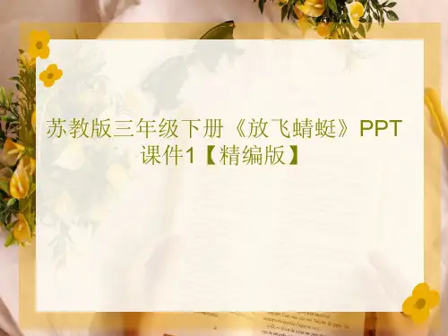 苏教版三年级下册《放飞蜻蜓》PPT课件1【精编版】共29页