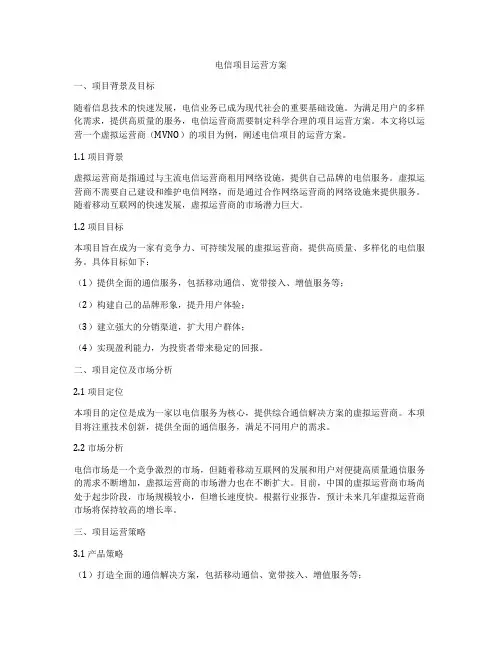 电信项目运营方案