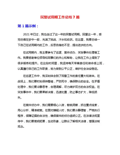 民警试用期工作总结7篇