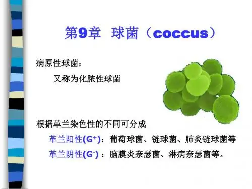 第9章球菌-w