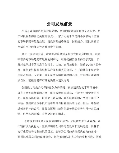 公司发展前景