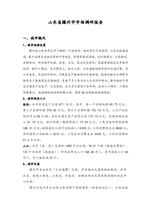 山东省滕州市市场调研报告(整合版)