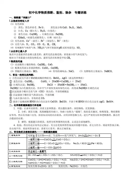 初中化学离子共存-物质鉴别分离-化学推断专题训练