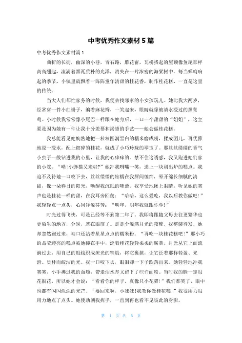 中考优秀作文素材5篇