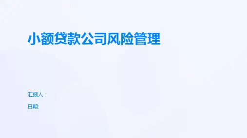 小额贷款公司风险管理