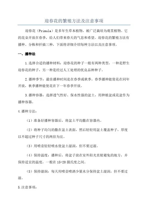 迎春花的繁殖方法及注意事项