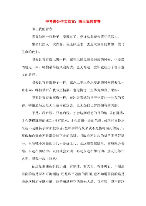 中考满分作文范文晒出我的青春(word文档)