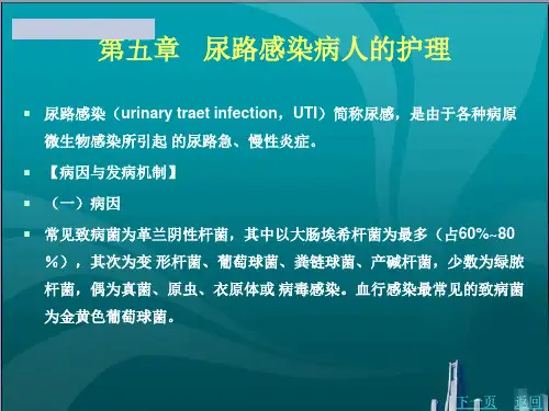 尿路感染病人的护理