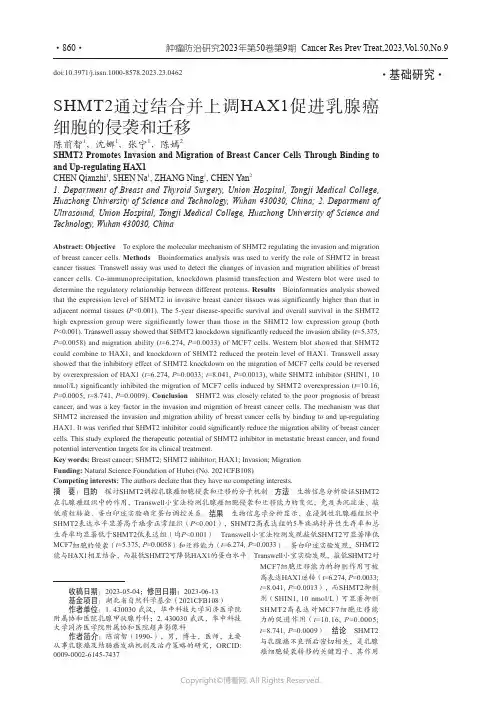 SHMT2通过结合并上调HAX1促进乳腺癌细胞的侵袭和迁移