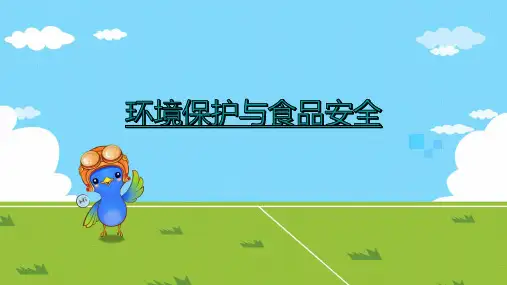 环境保护与食品安全ppt