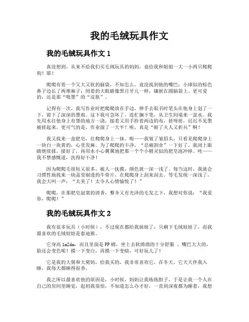 我的毛绒玩具作文